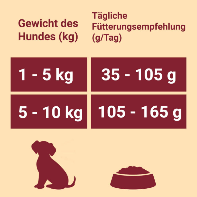 Purina ONE Hundetrockenfutter Purina ONE Mini Adult Lachs 800 g