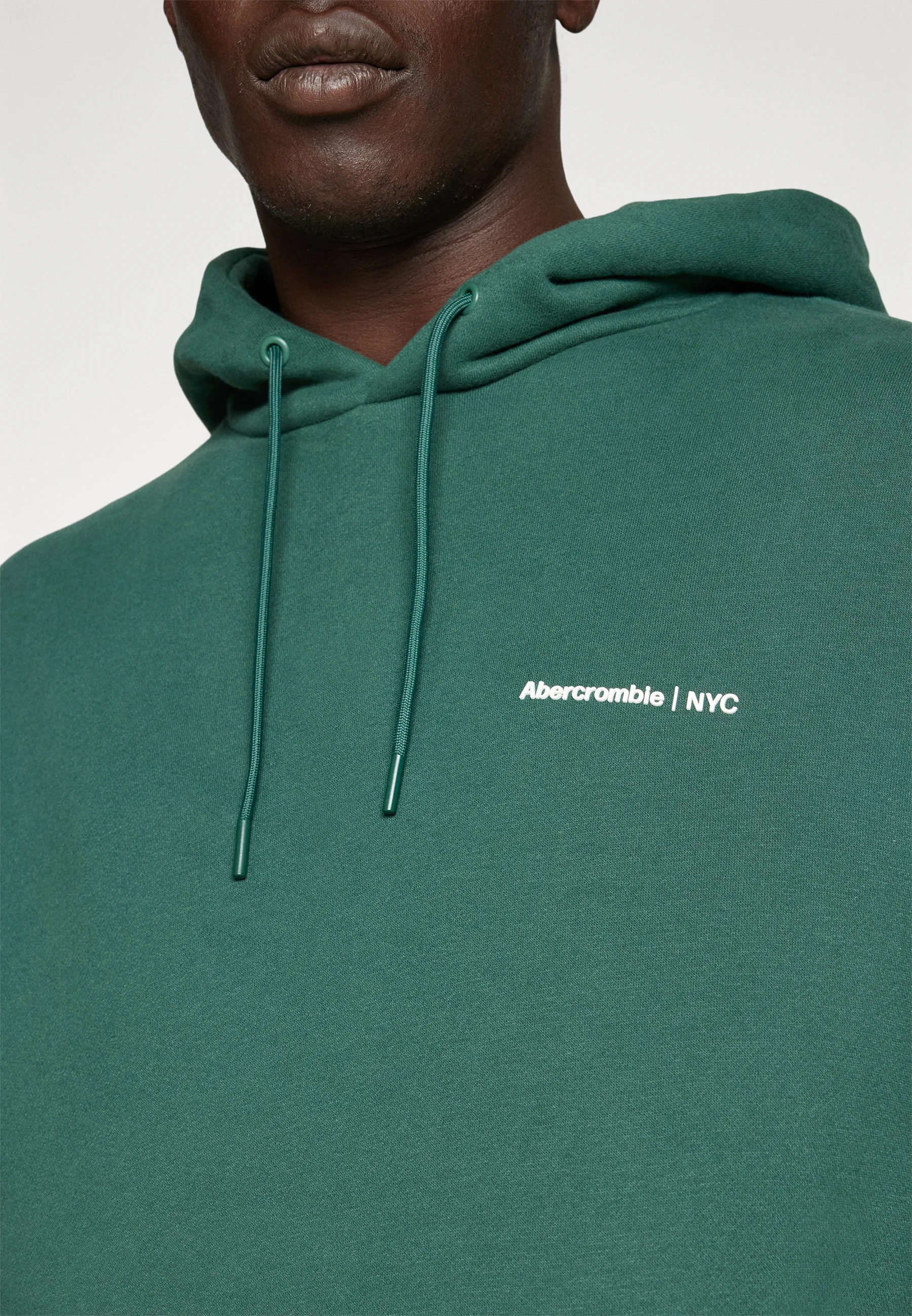 Abercrombie & Fitch MICROSCALE - Sudadera