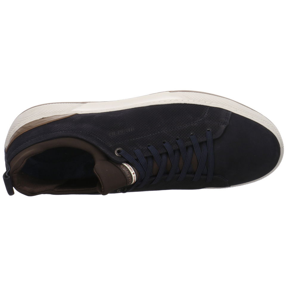 SALAMANDER Tivo Sneaker