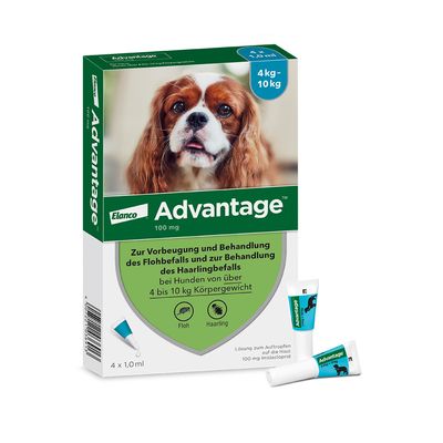 Advantage® 100 für Hunde, von 4 bis 10 kg