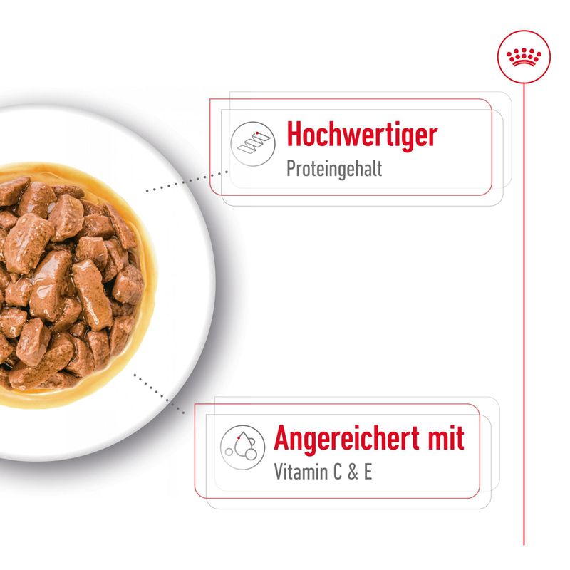 Royal Canin Medium Adult in Soße zu TOP-Preisen