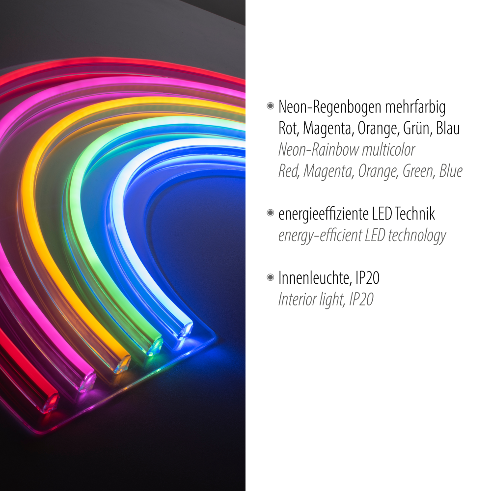 Neon-LED-Bild Neon-Rainbow