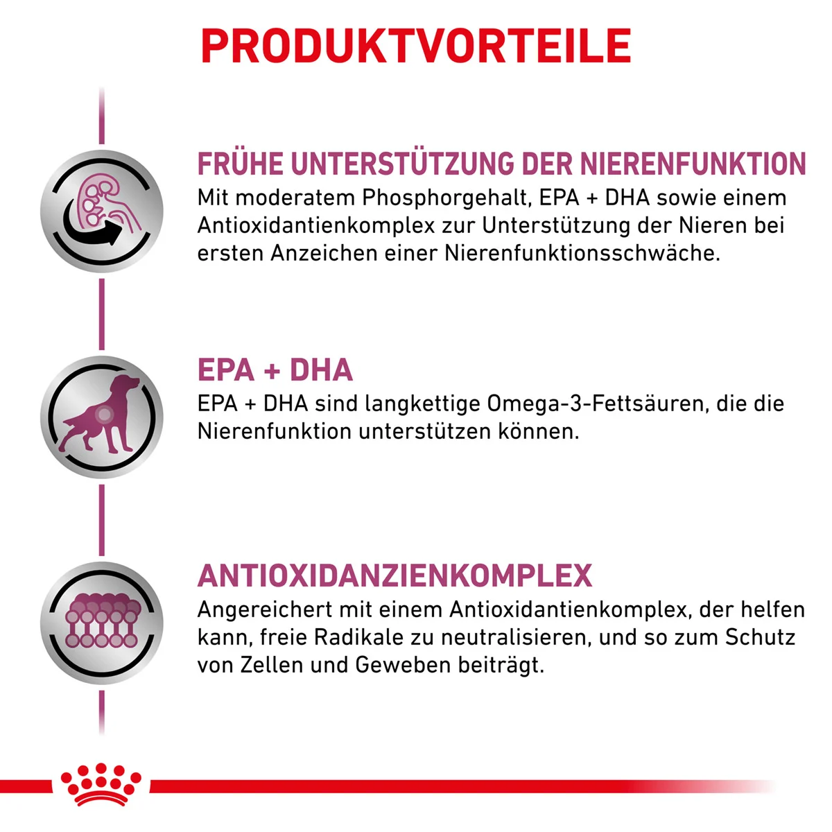 ROYAL CANIN Veterinary EARLY RENAL Nassfutter für Hunde 12x100g