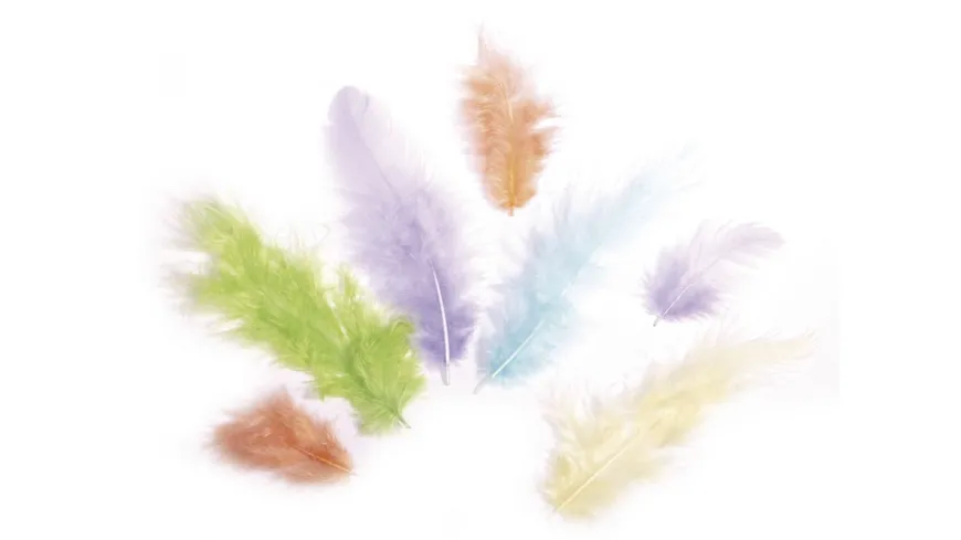 Rayher Federmischung 3-10 cm - 10 g - 6 Farben 10 g