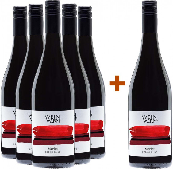 5+1 Paket Ried Schilling 