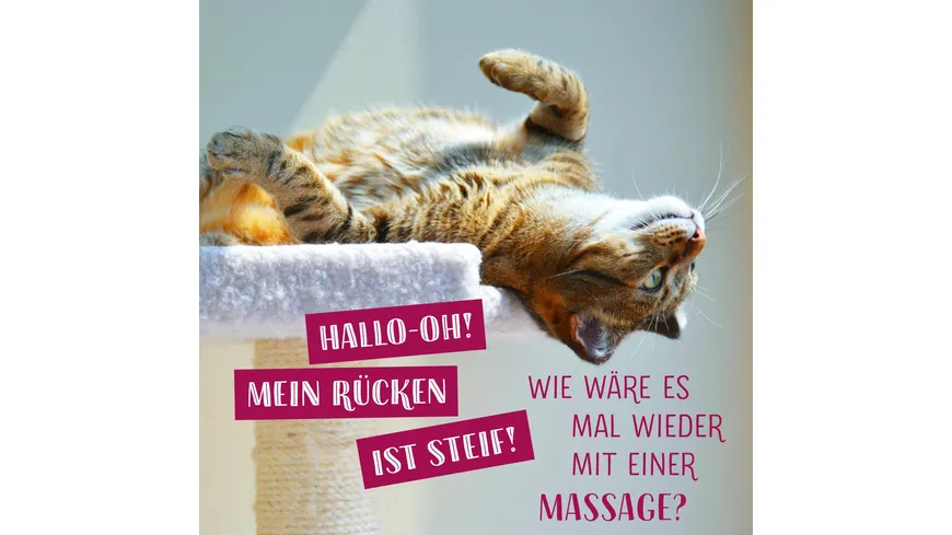 Die ganze Wahrheit über deine Katze