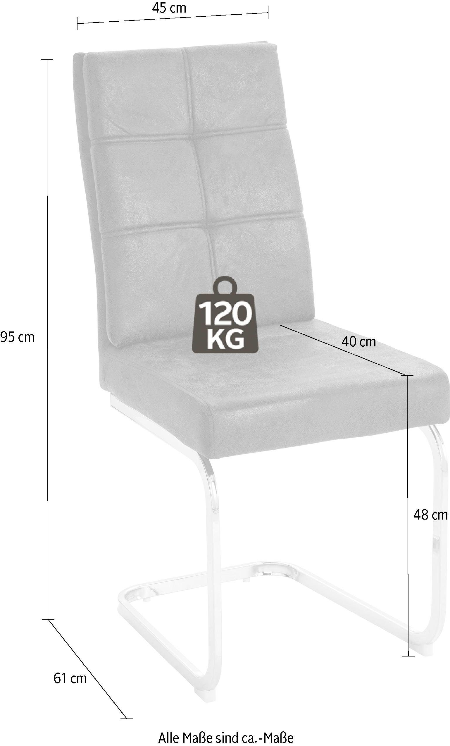 INOSIGN Freischwinger Lale, (2 Stück) Bezug aus strapazierfähiger Microfaser, Metallgestell