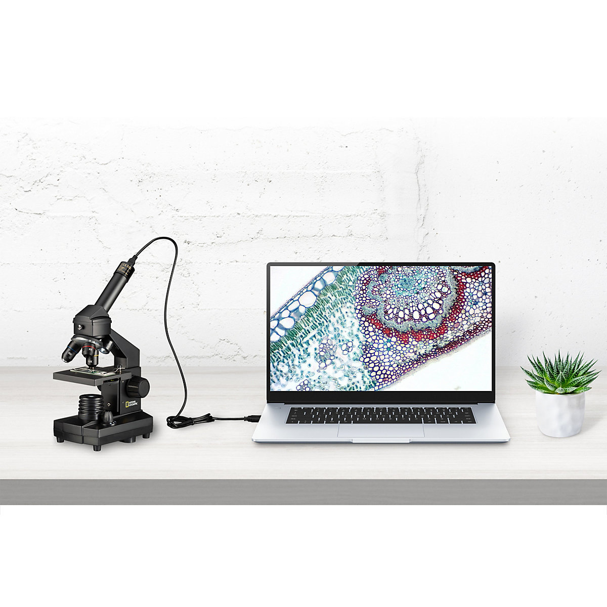 Mikroskop  40x-1024x (inkl. Koffer und USB Okular)