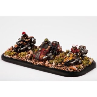 Freeriders (12)