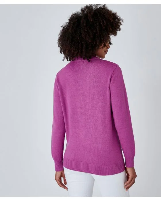 Pull col montant boutonné