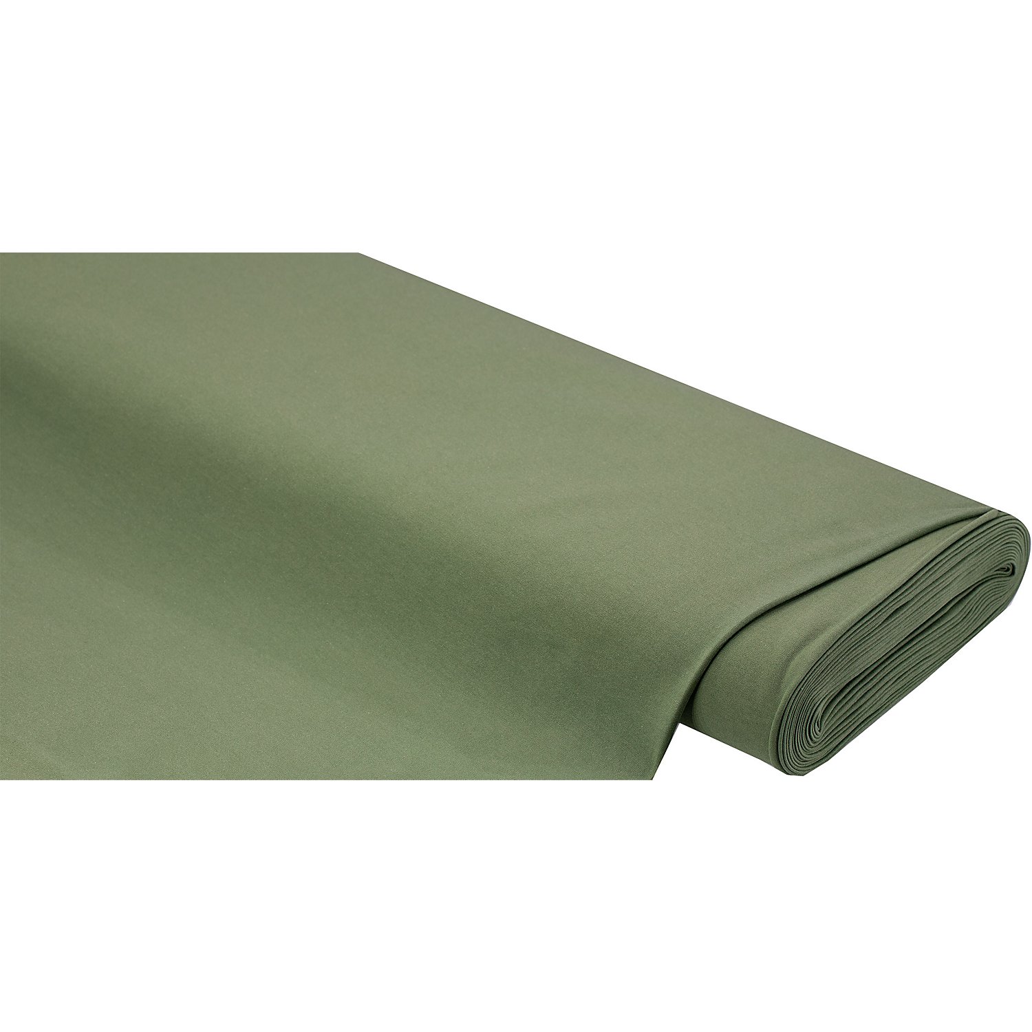 Bio-Baumwolljersey mit Elasthan, schilfgrün