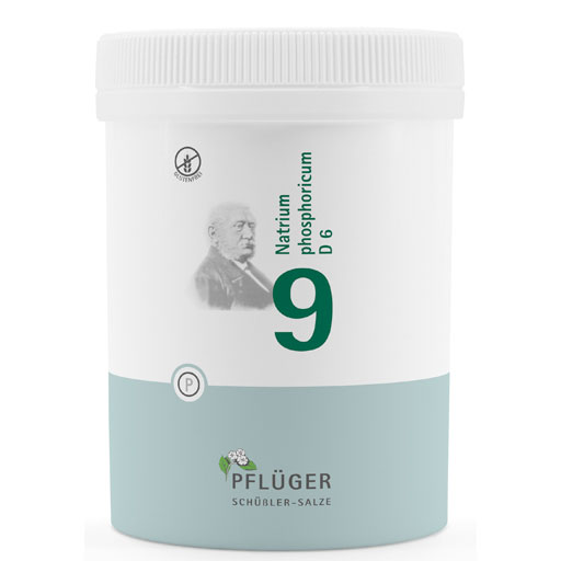 BIOCHEMIE Pflüger 9 Natrium phosphoricum D 6 Tabl.  1000 St  Tabletten