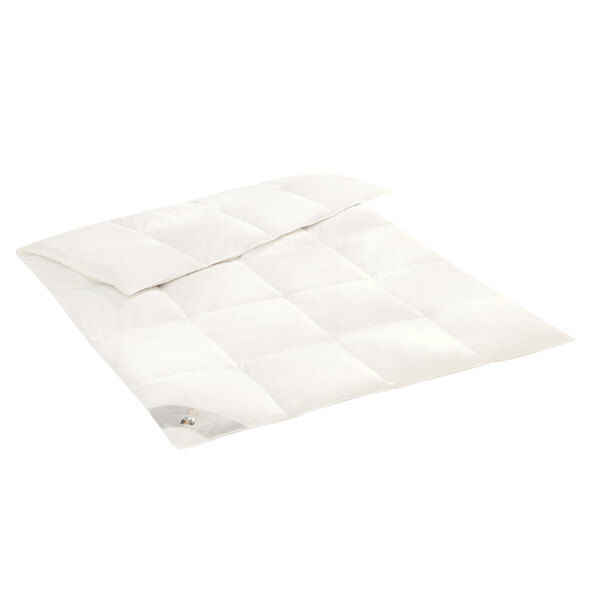 Feder- und Daunendecke Winter Starter, 135 x 200 cm