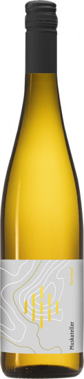 2022 Muskateller halbtrocken Bio - Weingut Forsthof