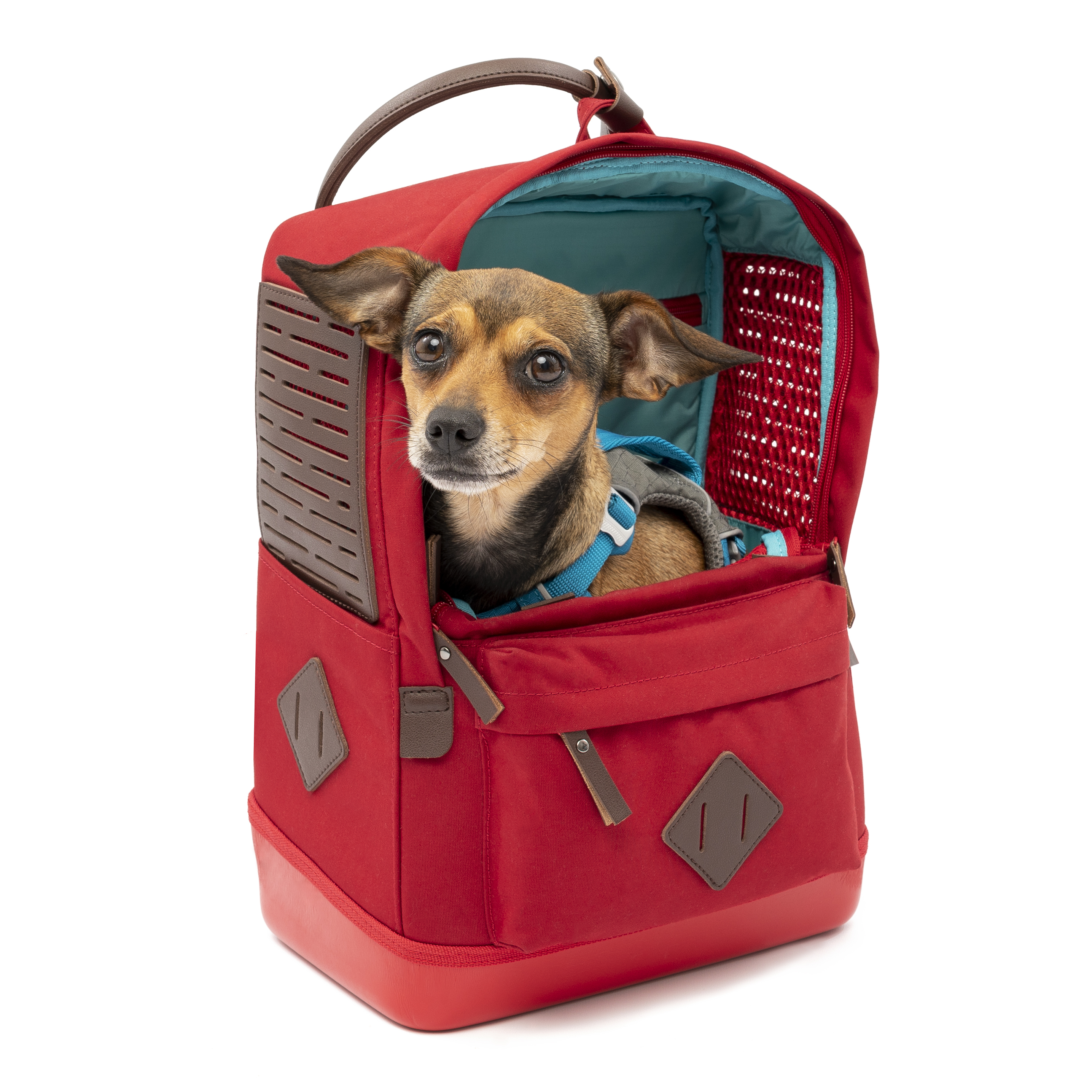Kurgo Tragetaschen Kurgo Hunderucksack Nomad