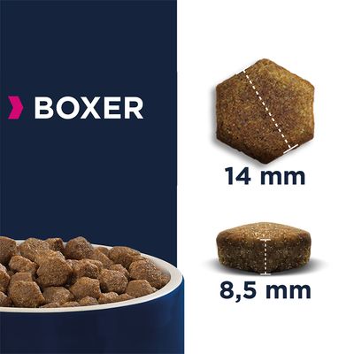 Eukanuba Adult Breed Specific Boxer