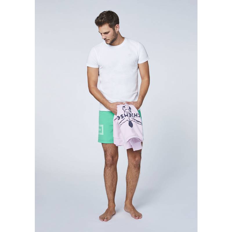 Chiemsee T-Shirts T-Shirt Herren