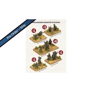 Mechanised Infantry Platoon (33)