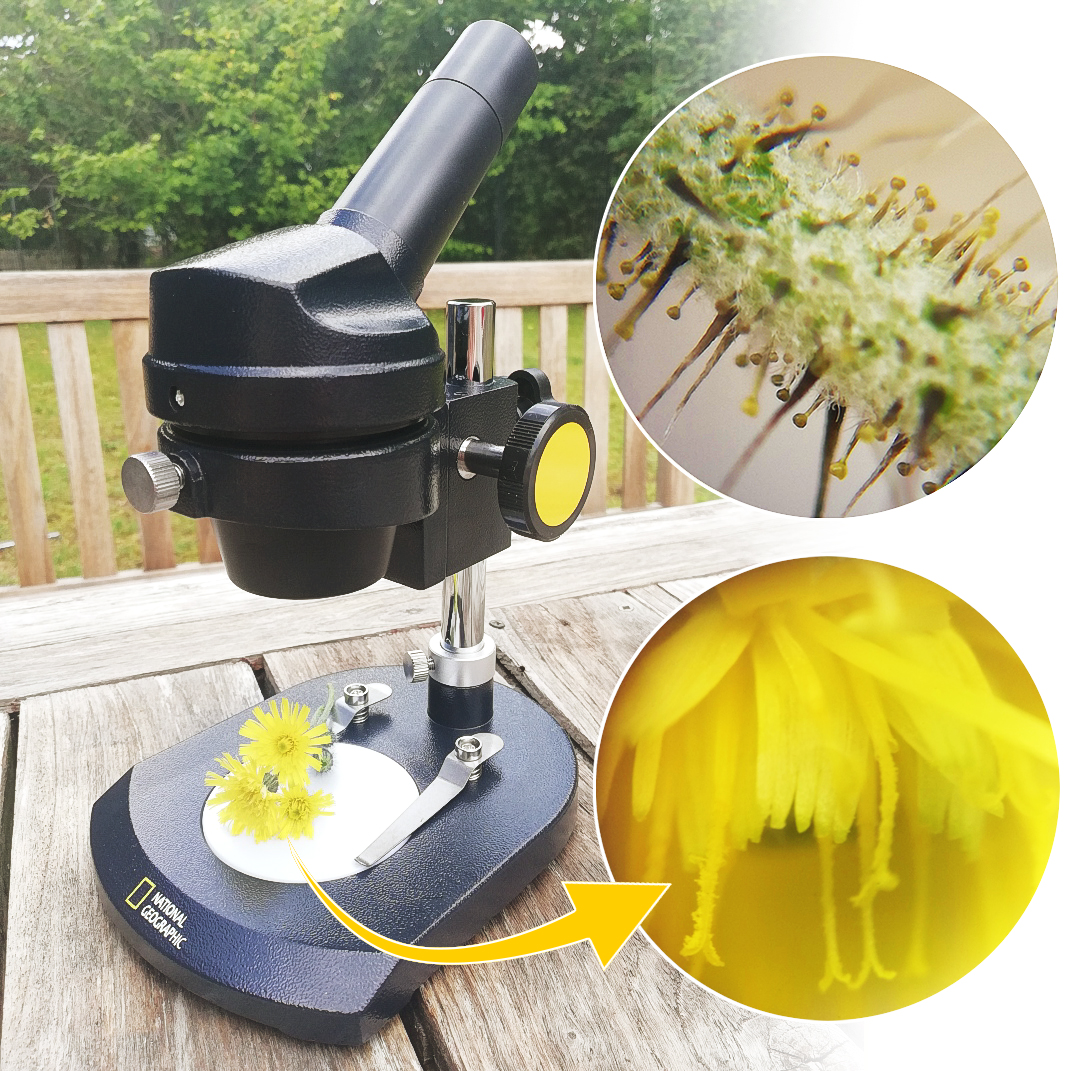 Bresser National Geographic® Auflichtmikroskop 20x
