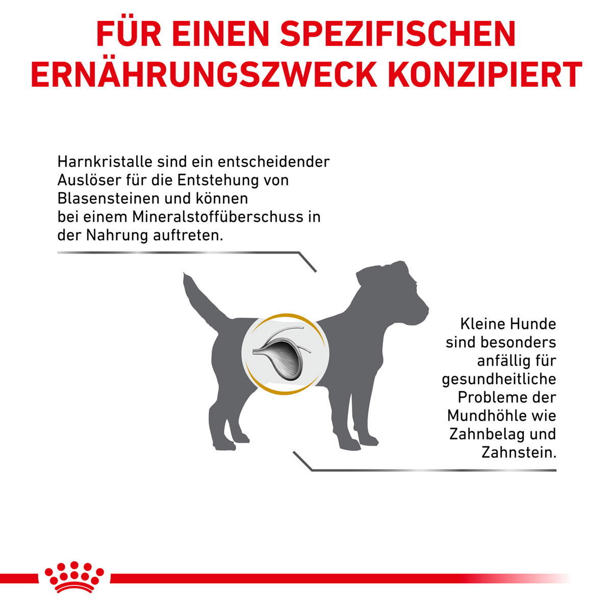 ROYAL CANIN Veterinary URINARY S/O SMALL DOGS Trockenfutter für Hunde