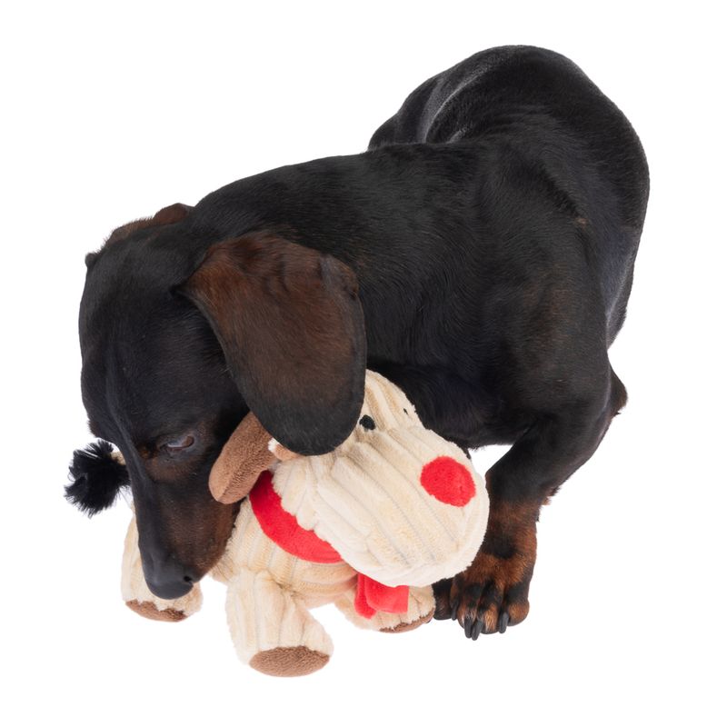 TIAKI Hundespielzeug Rudolph zu TOP-Preisen