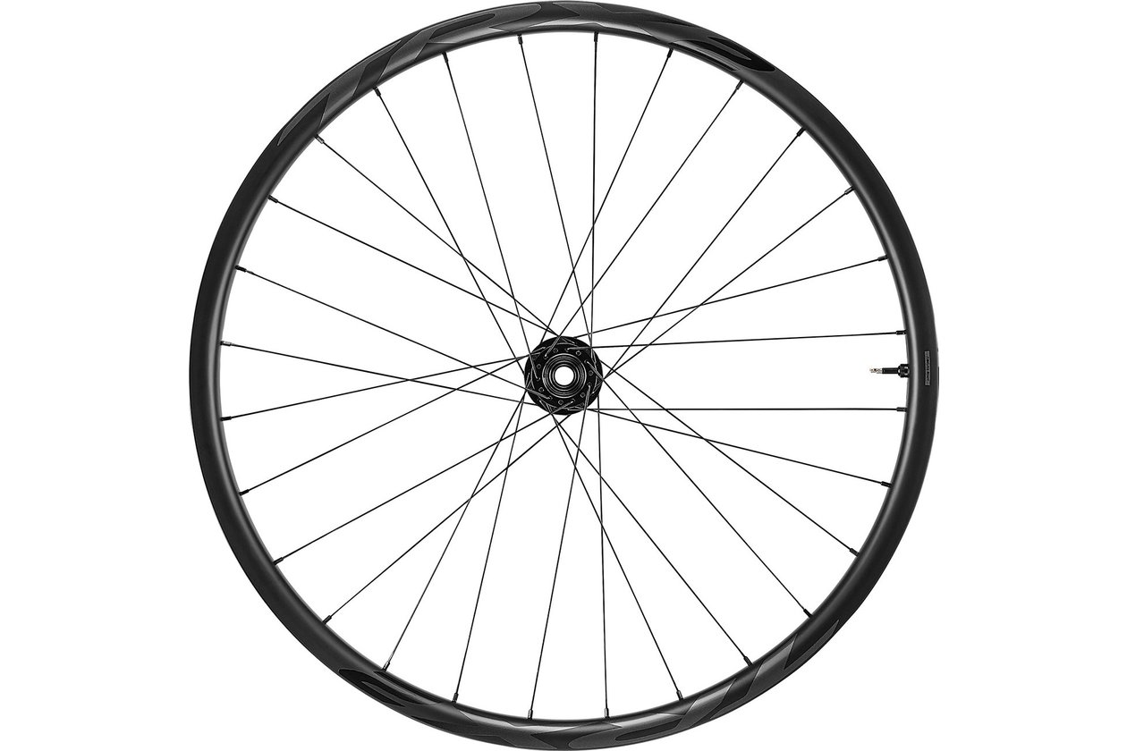 Giant TRX 2 MTB Carbon 29 - Vorderrad Boost