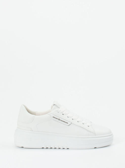 Sneaker-16637990281 Kennel & Schmenger