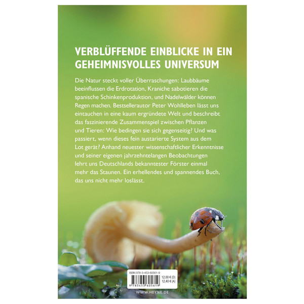 DAS GEHEIME NETZWERK DER NATUR - Sachbuch