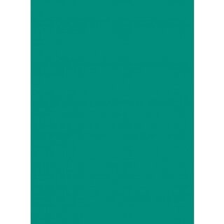 Legion: Double Matte Sleeve - Teal