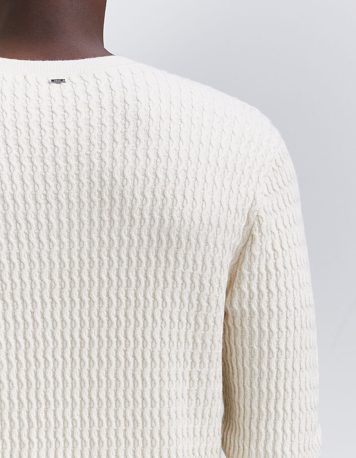 Pull coloris naturel tricot reliefé Homme