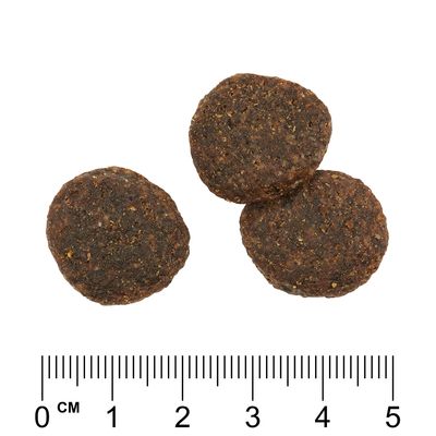 Rosie's Farm - Lamm mit Süßkartoffeln und Bohnen