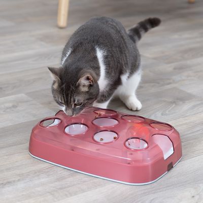 Trixie Cat Activity Soccer