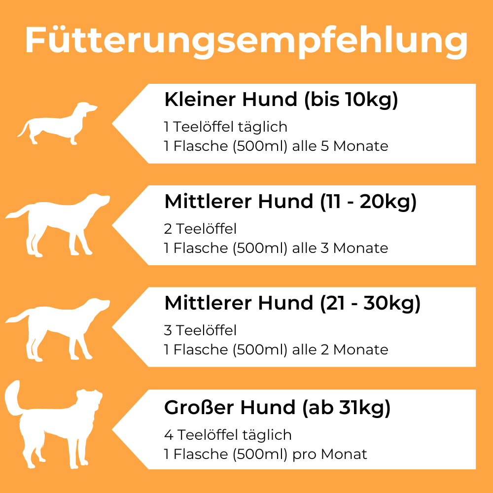 Dog-Native Ergänzungsfutter & Aufzucht Dog-Native Wildfischöl für Hunde aus nachhaltigem Wildfang mit natürlichem Vitamin E, Omega 3 Öl, Fischöl in Glasflasche, kein Lachsöl, 500ml