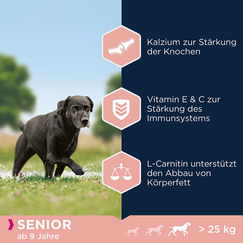 Eukanuba Caring Senior Large Breed Huhn zu TOP-Preisen | bitiba %