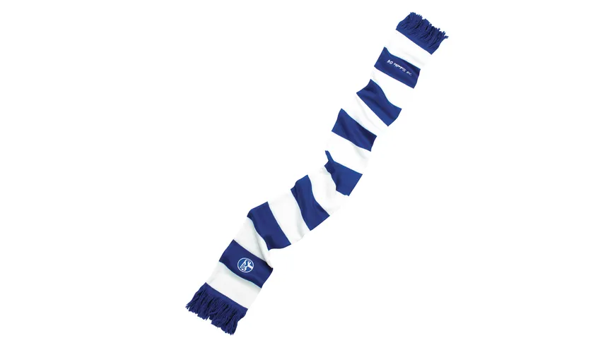 FC Schalke 04 Blockstreifen-Schal