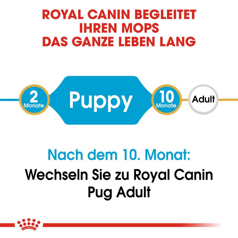 Royal Canin Pug Puppy zu TOP-Preisen