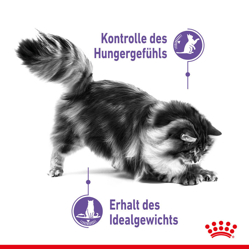 ROYAL CANIN Trockenfutter ROYAL CANIN Appetite Control Care 10 kg