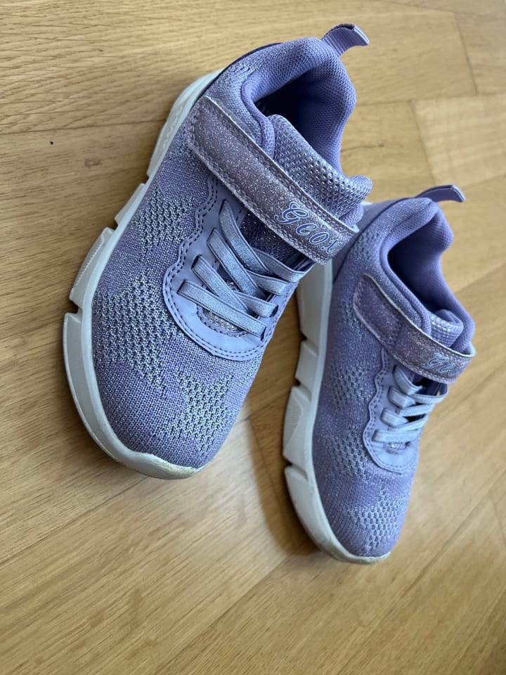 Geox Sneakers 