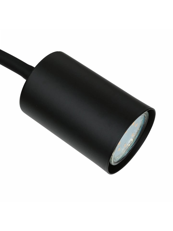 Licht-Erlebnisse Wandlampe in Schwarz günstig kaufen onesize