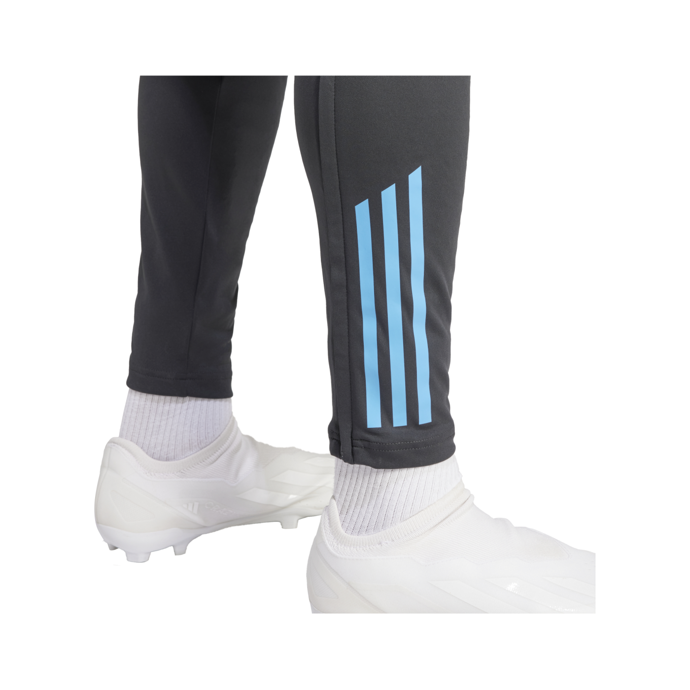 adidas Argentinien Trainingshose Copa America 2024 Schwarz