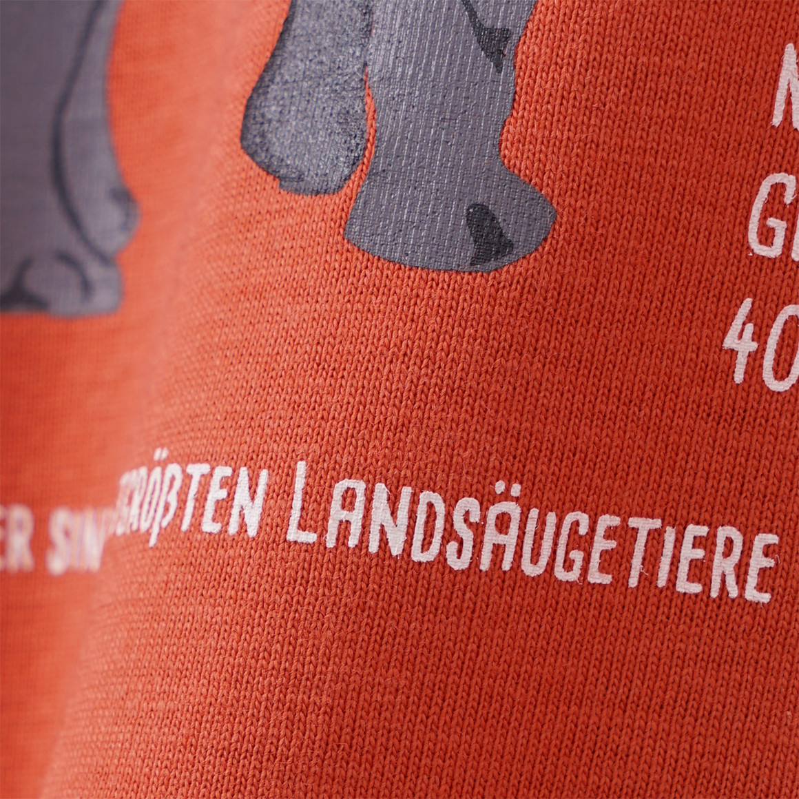 Kinder Langarmshirt mit Nashorn-Print