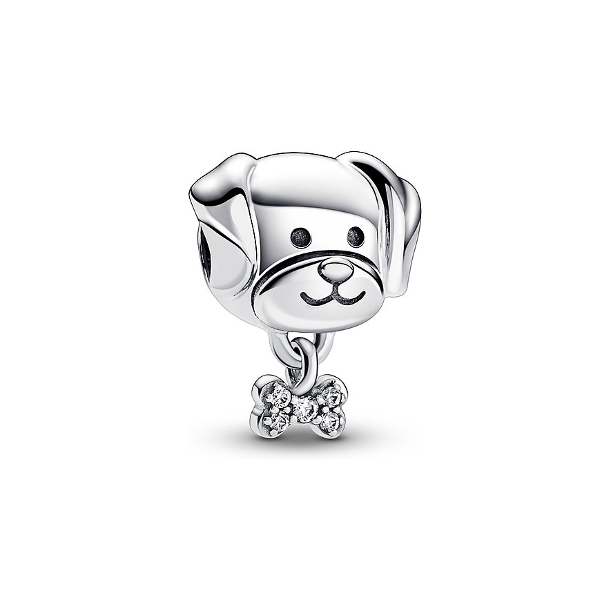 Pandora Charm Moments