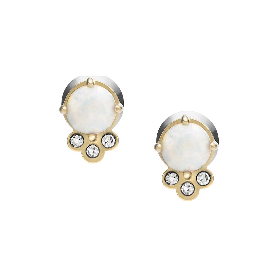 Fossil Ohrstecker Val