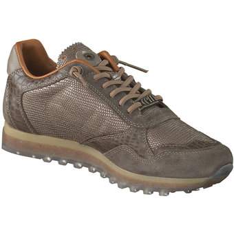 Cetti Ante Tejus Sneaker in braun