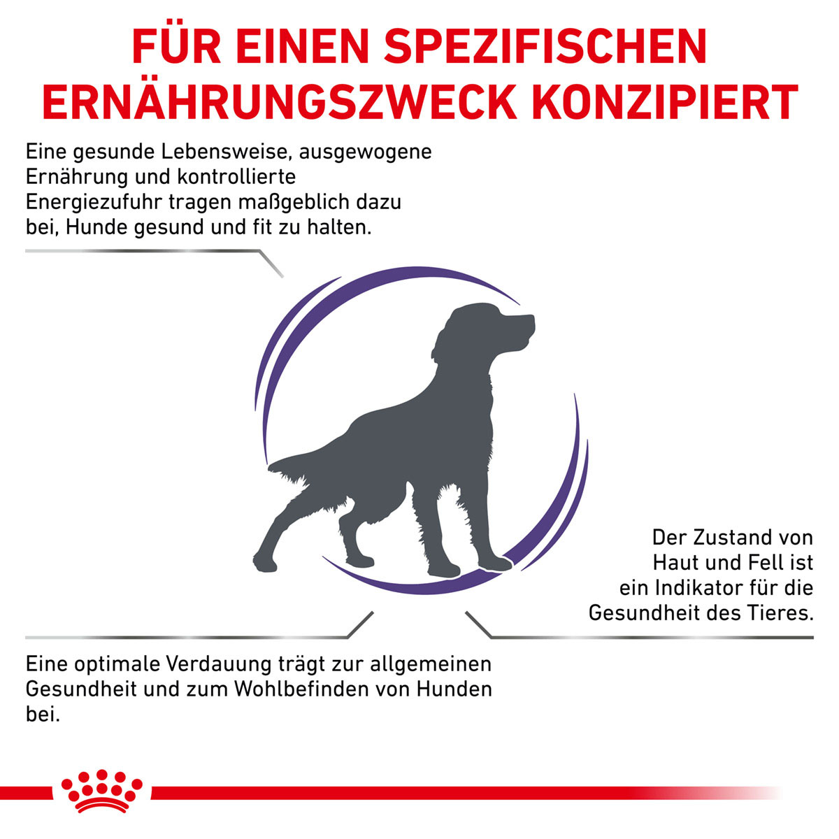 ROYAL CANIN Expert ADULT MEDIUM DOGS Trockenfutter für Hunde