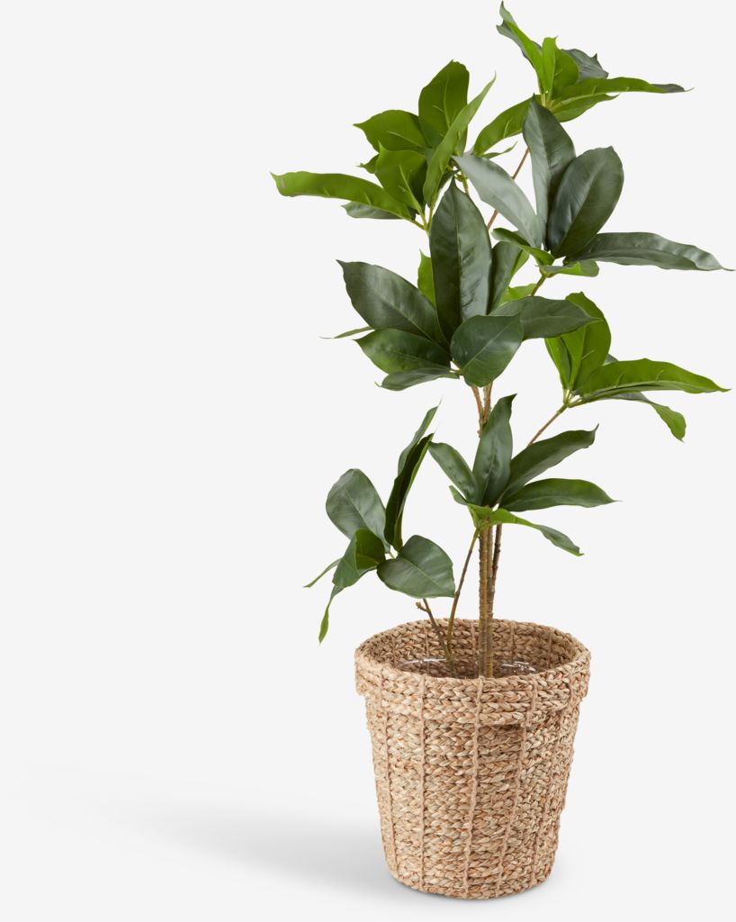 ERIK Vaso ERIK Ø25xH24cm natureza
