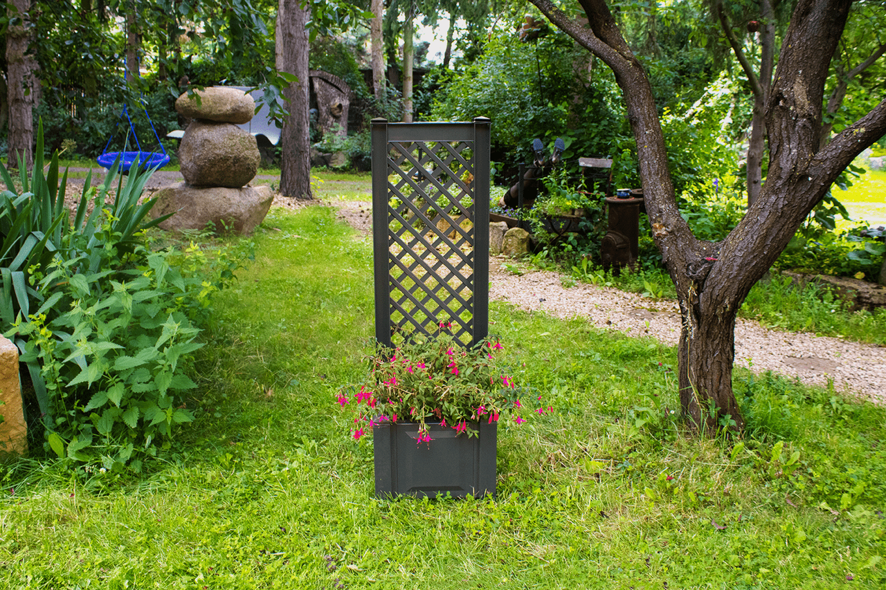 KHW KHW Pflanzkasten 43 cm mit Spalier, anthrazit