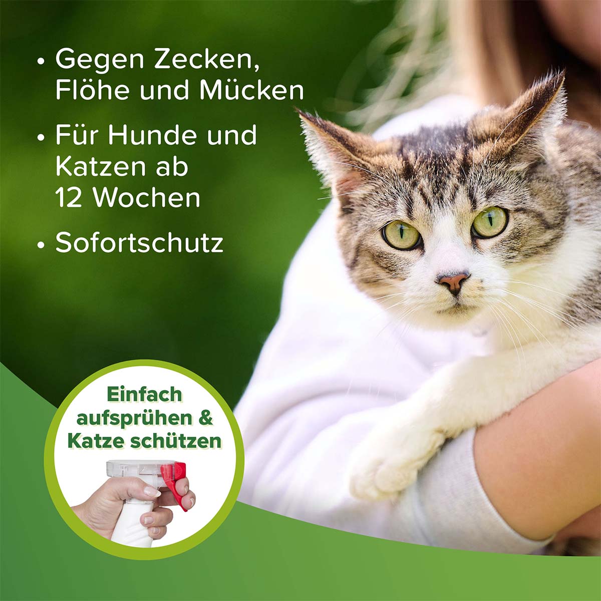 Beaphar Zecken- und Flohschutz Spray 3x400ml kaufen bei ZooRoyal