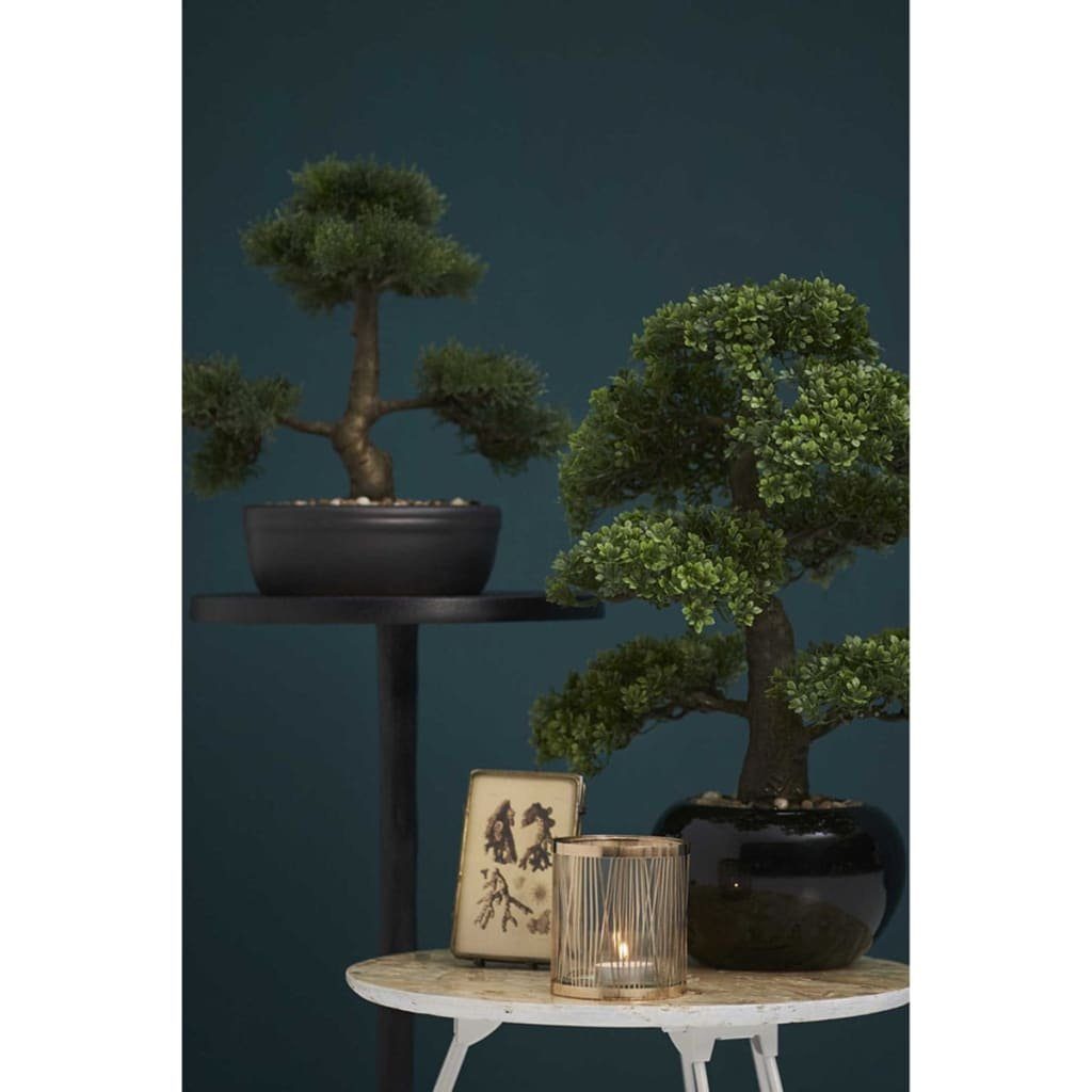 Kunstrasen Kunstpflanze Bonsai Zeder Grün 32 cm 420001, Emerald, Höhe: 32 mm