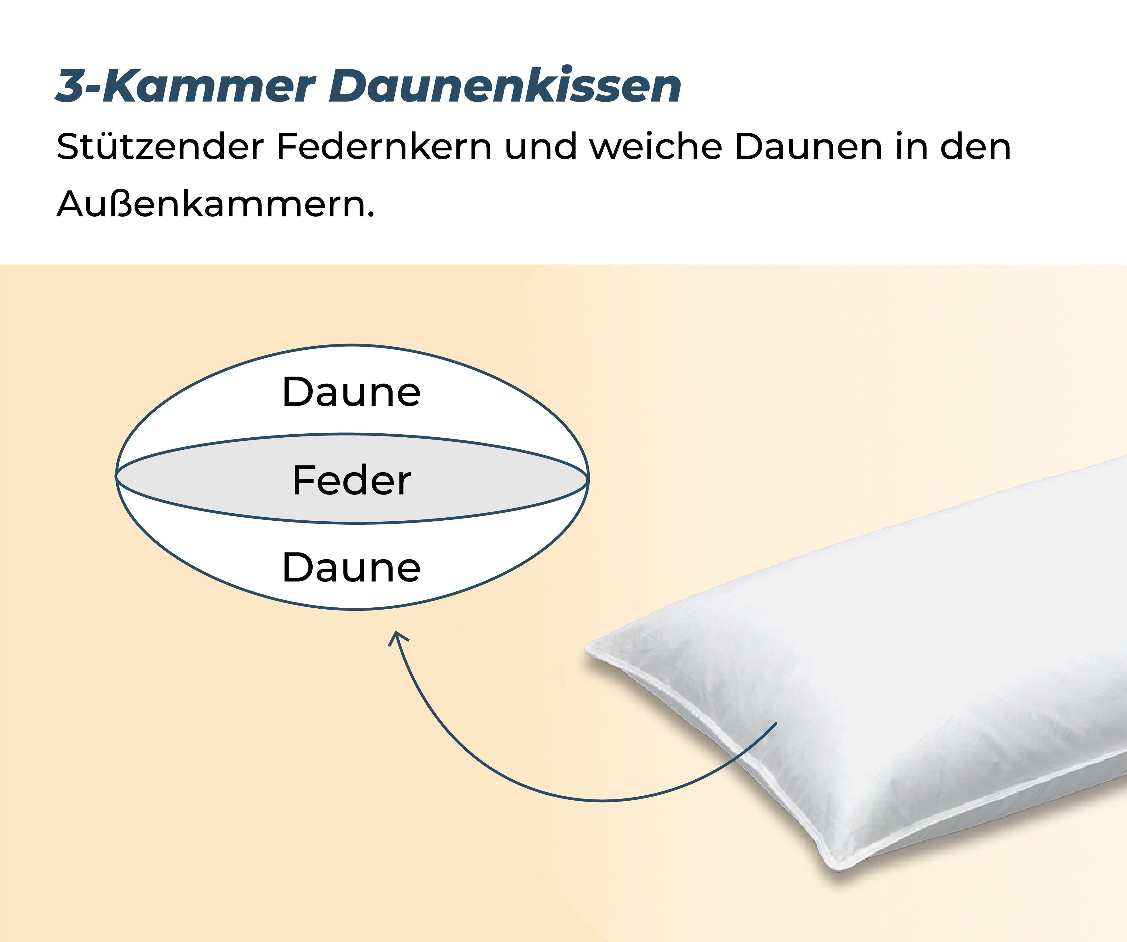 3-Kammer-Kopfkissen, liegegut, Füllung: 90% Daunen, 10% Federn, Bezug: Bezug: Daunen-Batist 100% Baumwolle, Seitenschläfer, Rückenschläfer, Bauchschläfer, DownPass zertifiziert